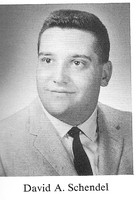 David Schendel
